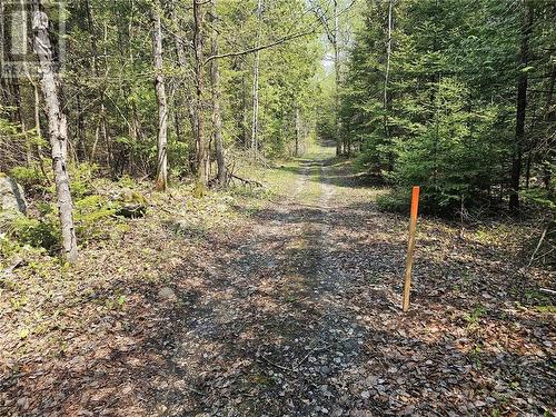 Lot 49 Sandy Point Road, Assiginack, Manitoulin Island, ON 