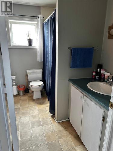 3 Chatam Place, Grand Falls-Windsor, NL - Indoor Photo Showing Bathroom