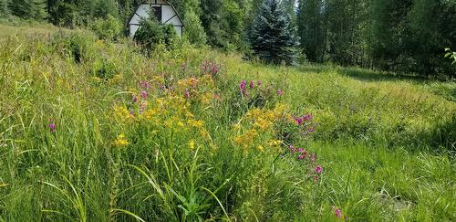 1377 Collings Road, Seymour Arm, BC - Outdoor With View