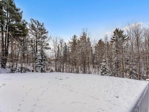 Wooded area - 110 Rue Du Domaine-Fortier, Saint-Colomban, QC - Outdoor
