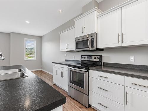 217/219 Birch Ave, Kamloops, BC - Indoor Photo Showing Kitchen With Double Sink