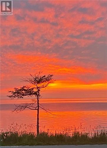 Remember the small tree from the last image? What great sunsets. - 56 Boiler Beach Road, Huron-Kinloss, ON - Outdoor With Body Of Water With View
