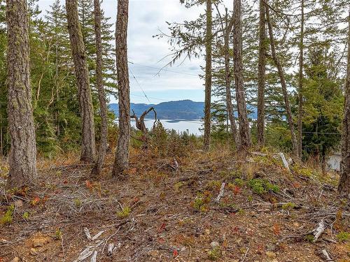 Lot 1 Owl'S Nest Pl, Sooke, BC 