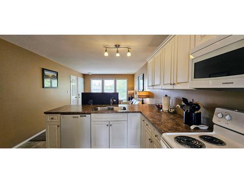4852 Emerald Avenue, Canal Flats, BC - Indoor Photo Showing Kitchen With Double Sink