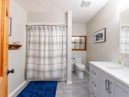 412 Opal Drive, Logan Lake, BC - Indoor Photo Showing Bathroom
