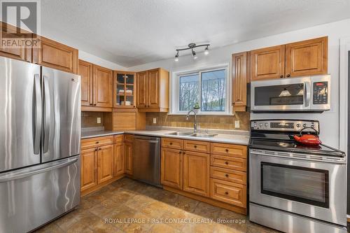 25 Green Pine Avenue, Springwater, ON - Indoor Photo Showing Kitchen With Double Sink