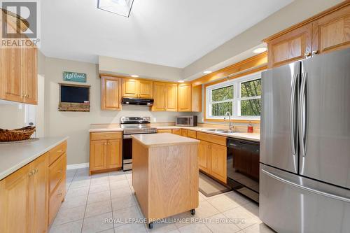 13722 Highway 41, Addington Highlands, ON - Indoor Photo Showing Kitchen With Double Sink