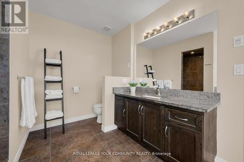 19 Watershore Drive, Hamilton, ON - Indoor Photo Showing Bathroom
