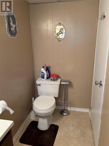 1-7 Cherrywood Drive, Stephenville Crossing, NL - Indoor Photo Showing Bathroom