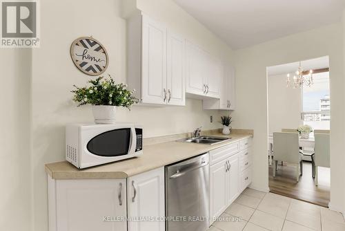 1009 - 35 Towering Hts Boulevard, St. Catharines, ON - Indoor Photo Showing Kitchen With Double Sink