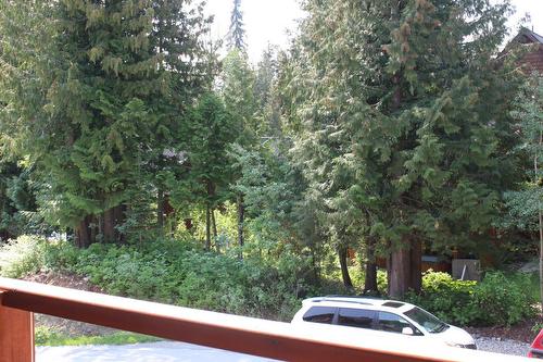 C - 1003 Mountain View Road, Rossland, BC - Outdoor
