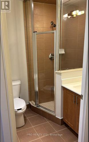 302 - 181 Wynford Drive, Toronto, ON - Indoor Photo Showing Bathroom