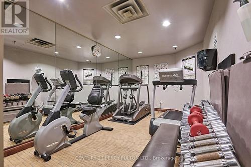 104 - 225 The Donway W, Toronto, ON - Indoor Photo Showing Gym Room