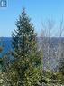 Upper level view, - Lt 24 Cape Chin Shore Road, Northern Bruce Peninsula, ON 