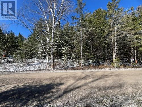 Cape Chin North Shore Rd. Frontage (Lower side of Lot)  Lot marked between signs. - Lt 24 Cape Chin Shore Road, Northern Bruce Peninsula, ON 
