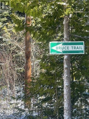 Right near the Bruce Trail. - Lt 24 Cape Chin Shore Road, Northern Bruce Peninsula, ON 