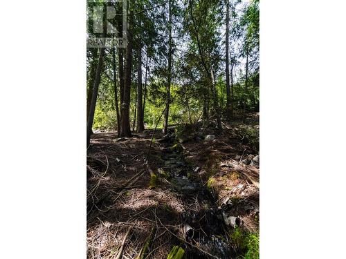 Lot A  3A Highway, Nelson, BC 