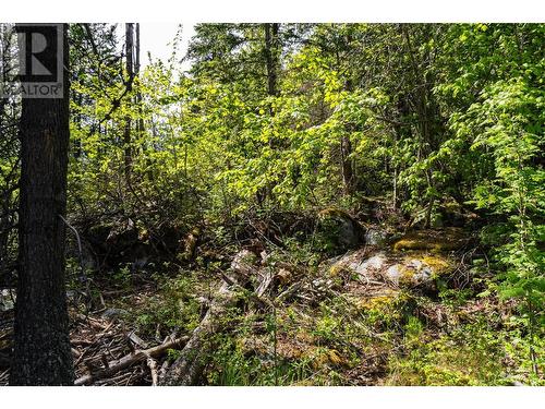 Lot A  3A Highway, Nelson, BC 