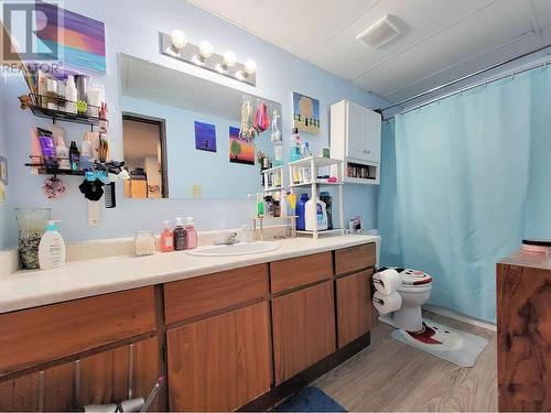 109 398 Roddis Drive, Quesnel, BC - Indoor Photo Showing Bathroom