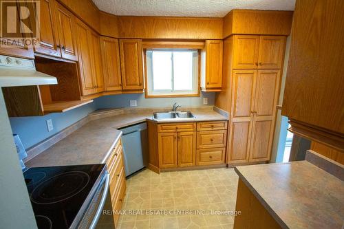 42 Daniel Avenue, Kitchener, ON - Indoor Photo Showing Kitchen With Double Sink