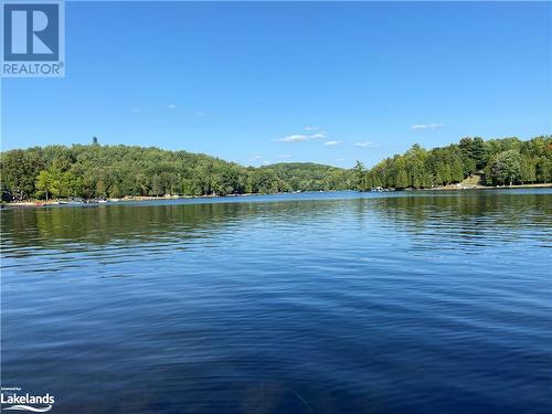 1981 Horseshoe Lake Road, Minden, ON - Outdoor With Body Of Water With View