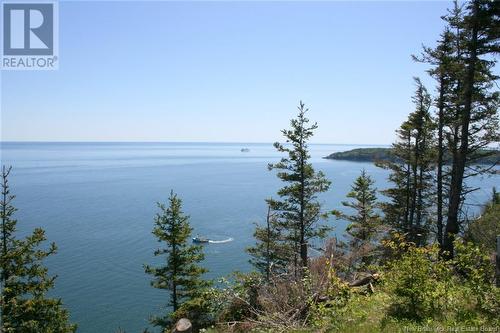 04-09 Seven Days Work Drive, Grand Manan, NB 