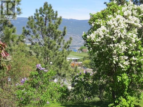6708 English Avenue, Summerland, BC - Outdoor With View