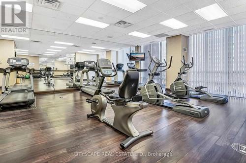 808 -3 Michael Power Place, Toronto, ON - Indoor Photo Showing Gym Room