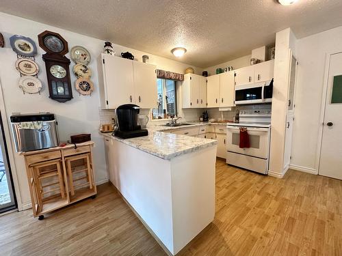 875 Kimberely Avenue N, Greenwood, BC - Indoor Photo Showing Kitchen