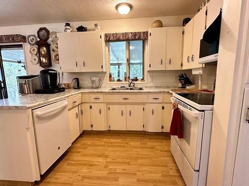 875 Kimberely Avenue N, Greenwood, BC - Indoor Photo Showing Kitchen With Double Sink