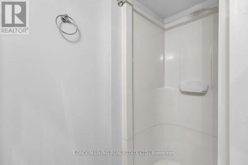 133 Empress Avenue, London, ON -  Photo Showing Bathroom