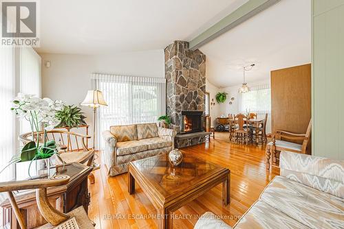 19 Dauphine Place, Welland, ON - Indoor Photo Showing Living Room With Fireplace