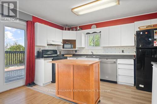 20 Buckhorn Road, Kawartha Lakes, ON - Indoor Photo Showing Kitchen
