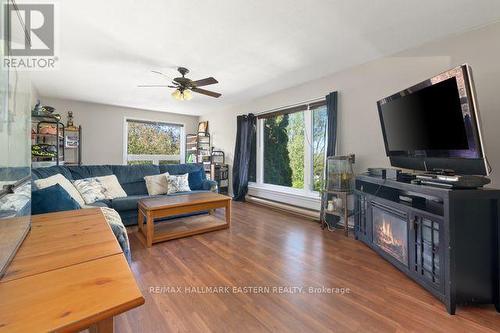 20 Buckhorn Road, Kawartha Lakes, ON - Indoor Photo Showing Living Room With Fireplace