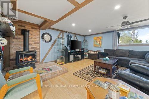 20 Buckhorn Road, Kawartha Lakes, ON - Indoor Photo Showing Living Room With Fireplace
