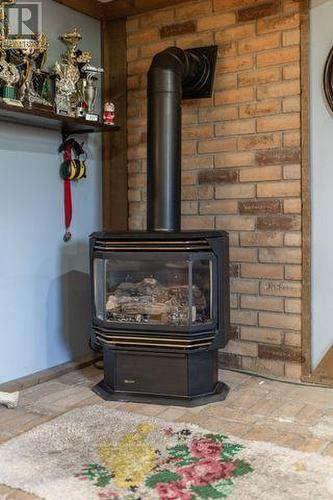 20 Buckhorn Road, Kawartha Lakes, ON - Indoor With Fireplace