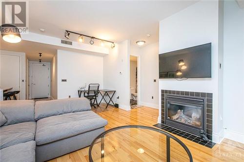 375 Lisgar Street Unit#205, Ottawa, ON - Indoor Photo Showing Living Room With Fireplace