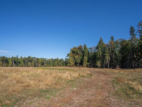 1163 Lee Rd, Parksville, BC - Outdoor With View