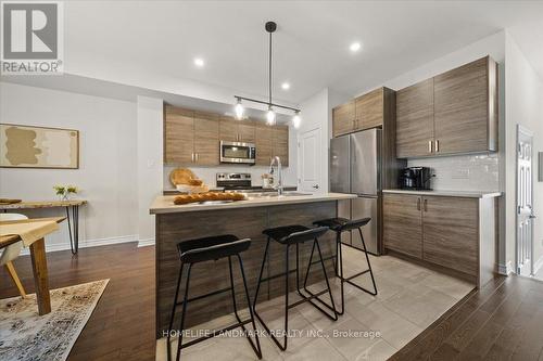 313 Grackle Street, Ottawa, ON - Indoor Photo Showing Kitchen With Upgraded Kitchen