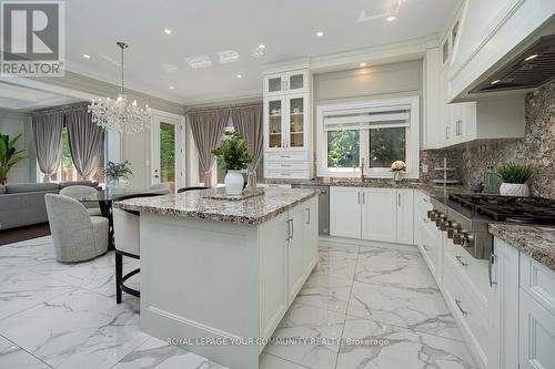 102 Ruggles Avenue, Richmond Hill, ON - Indoor Photo Showing Kitchen With Upgraded Kitchen