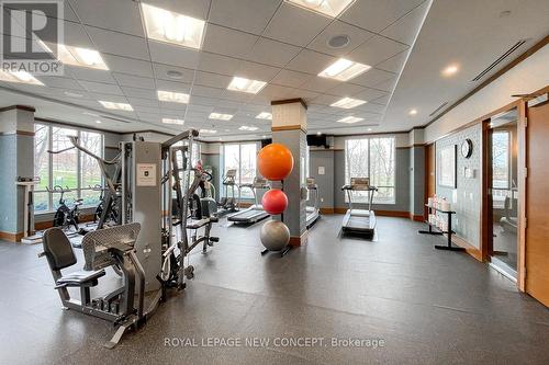 Th4 - 15 Viking Lane, Toronto, ON - Indoor Photo Showing Gym Room