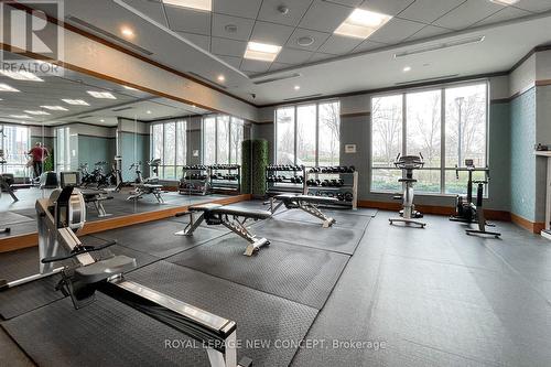 Th4 - 15 Viking Lane, Toronto, ON - Indoor Photo Showing Gym Room