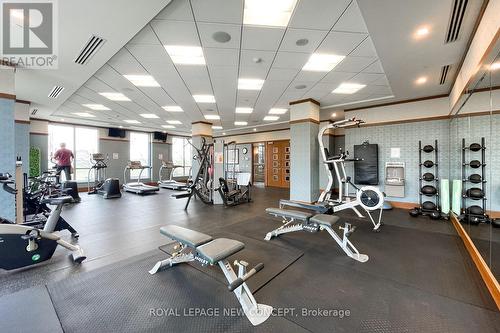 Th4 - 15 Viking Lane, Toronto, ON - Indoor Photo Showing Gym Room