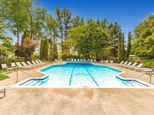 Pool - 404-60 Rue Berlioz, Montréal (Verdun/Île-Des-Soeurs), QC - Outdoor With In Ground Pool With Backyard