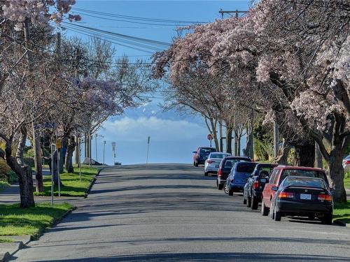 201-1201 Fort St, Victoria, BC - Outdoor With View