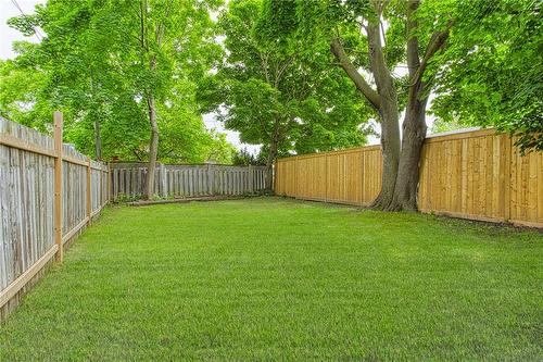 12 Napier Street, St. Catharines, ON - Outdoor With Backyard