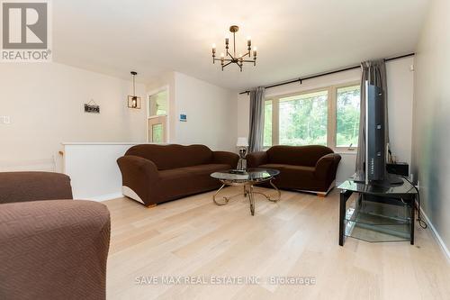 3220 Lakefield Road, Smith-Ennismore-Lakefield (Lakefield), ON - Indoor Photo Showing Living Room