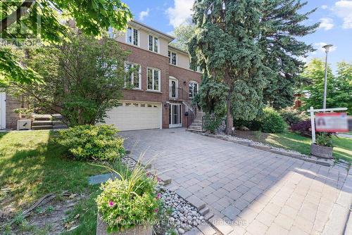 4 Woodvale Crescent, Toronto, ON - Outdoor With In Ground Pool With Backyard