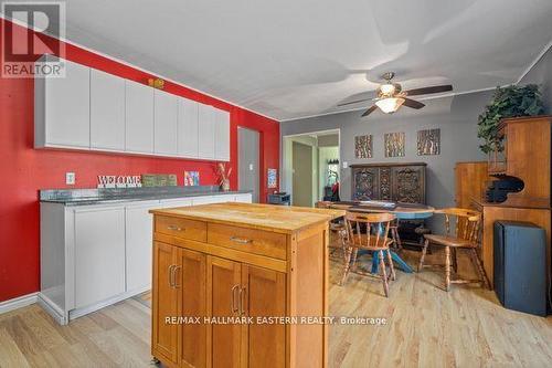 20 Buckhorn Road, Kawartha Lakes, ON - Indoor Photo Showing Kitchen