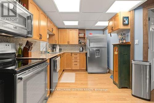 20 Buckhorn Road, Kawartha Lakes, ON - Indoor Photo Showing Kitchen